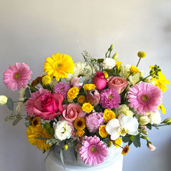 Spring lux